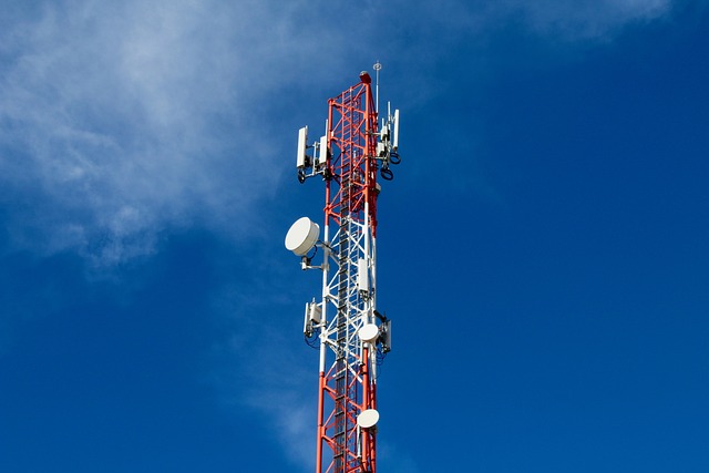 Managed Service Provider - USA