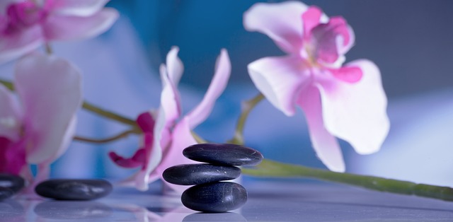 Wellness Therapy Clinic- Sweden