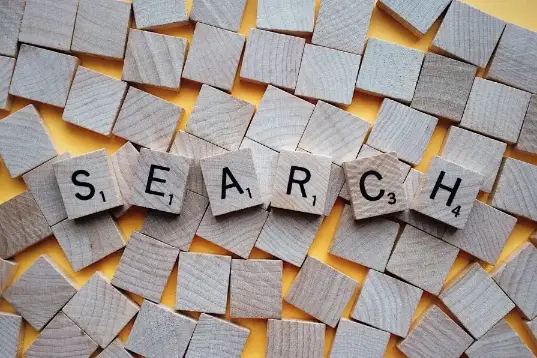 How to Choose Between Paid & Organic Search