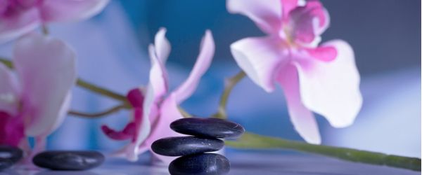 Wellness Therapy Clinic- Sweden